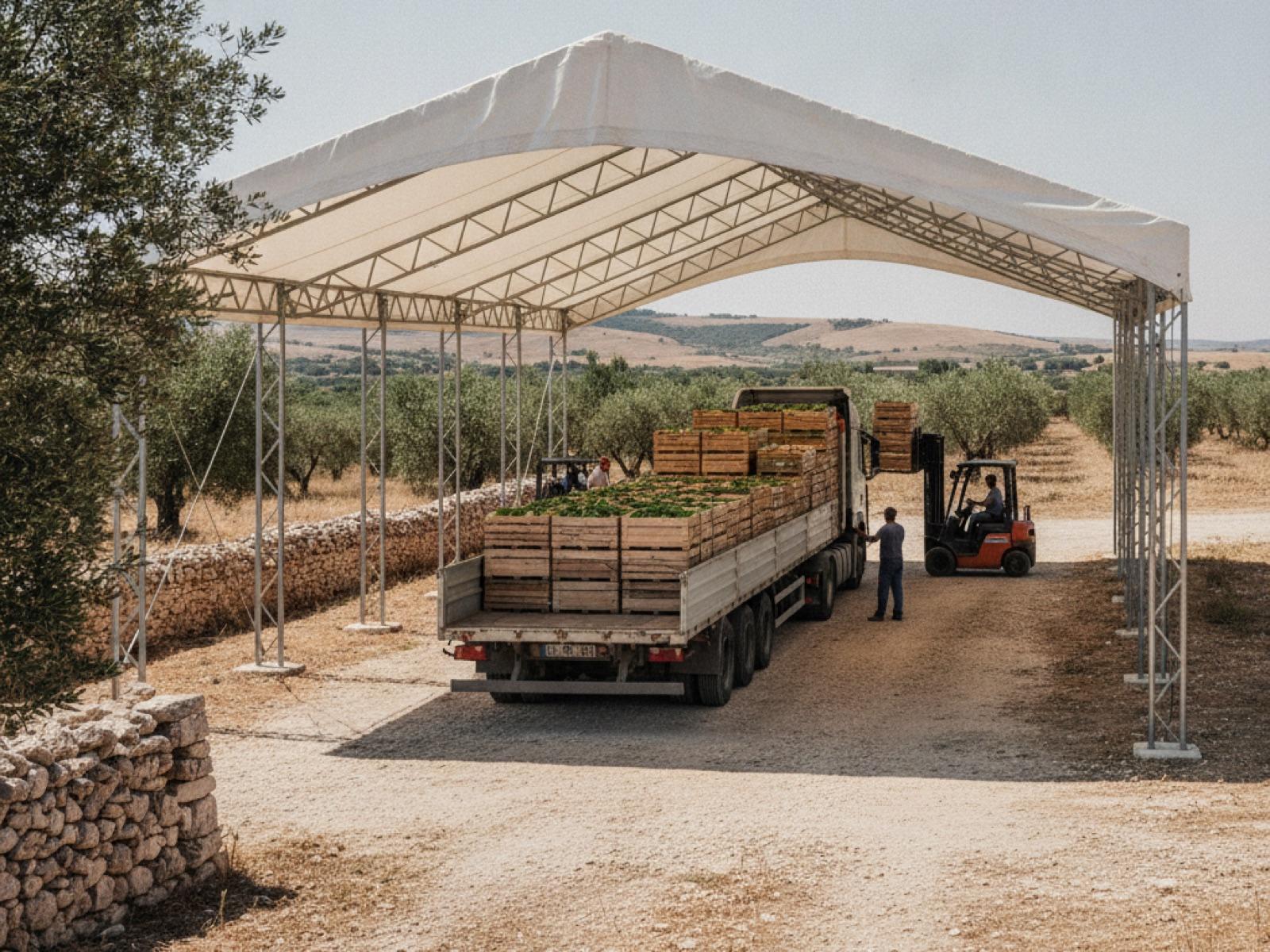 Coperture industriali in Puglia: vento, agricoltura e logistica