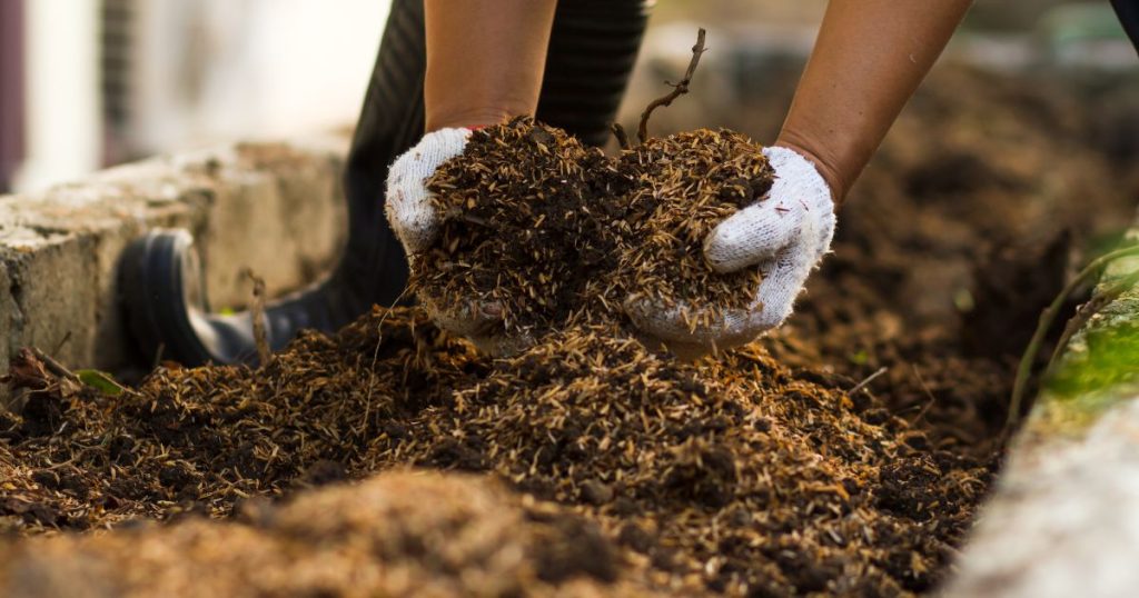 Autorizzazioni E Normative Per Gli Impianti Di Compostaggio